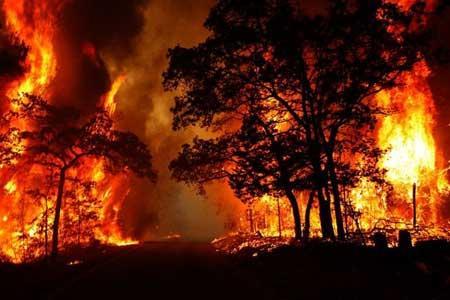چگونه از آتش سوزی در جنگل ها و مراتع پیشگیری کنیم؟