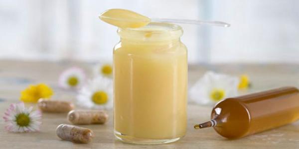 درباره ژل رویال یا همان اکسیر جوانی چه می دانید؟