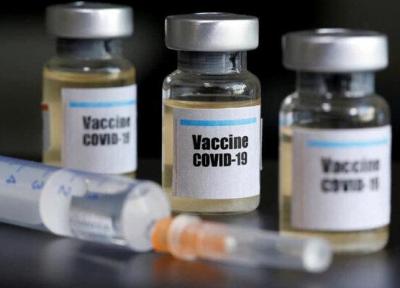 نوروزی:در انتخاب نوع واکسن تزریقی به المپیکی ها هیچ دخالتی نداریم