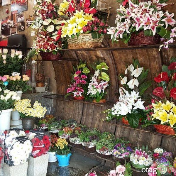 نام گلفروشی های مشهد